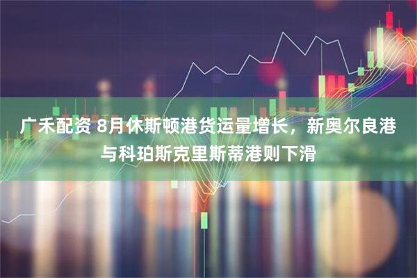 广禾配资 8月休斯顿港货运量增长,新奥尔良港与科珀斯克里斯蒂港则下滑