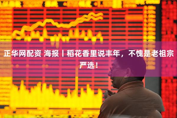 正华网配资 海报丨稻花香里说丰年，不愧是老祖宗严选！