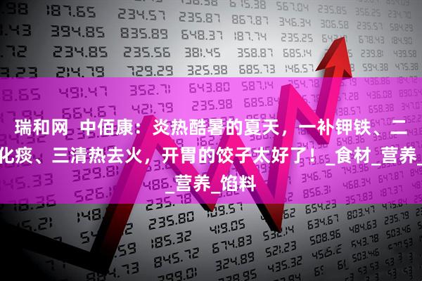 瑞和网  中佰康：炎热酷暑的夏天，一补钾铁、二润肺化痰、三清热去火，开胃的饺子太好了！_食材_营养_馅料