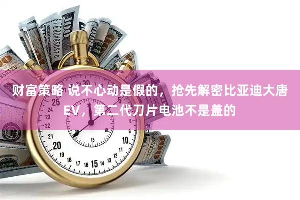 财富策略 说不心动是假的，抢先解密比亚迪大唐EV，第二代刀片电池不是盖的